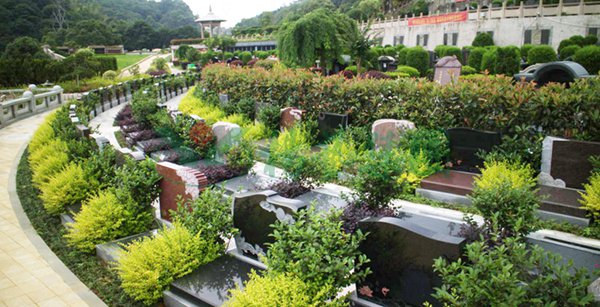 银娱优厚会717(中国)股份有限公司