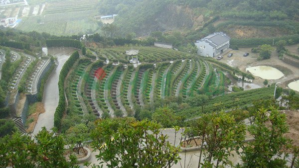 银娱优厚会717(中国)股份有限公司