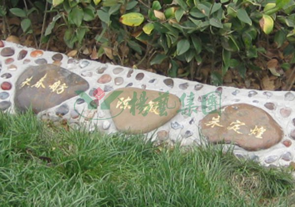 银娱优厚会717(中国)股份有限公司