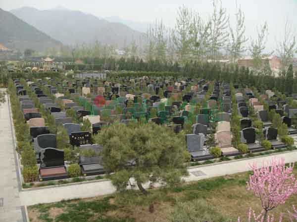 银娱优厚会717(中国)股份有限公司