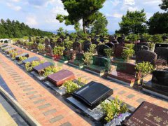 贵阳宝福猴子墓