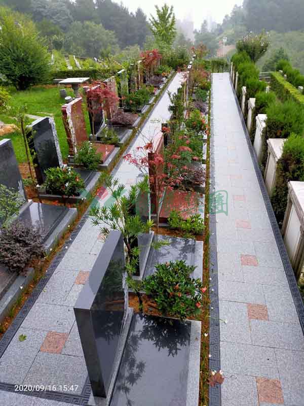 银娱优厚会717(中国)股份有限公司