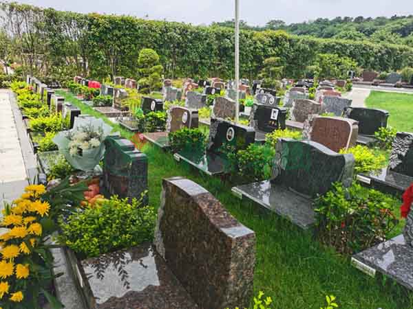 银娱优厚会717(中国)股份有限公司