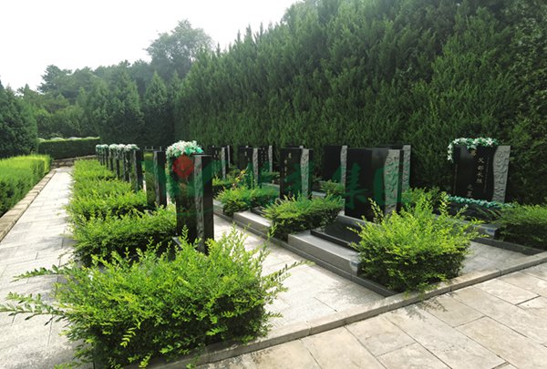 银娱优厚会717(中国)股份有限公司