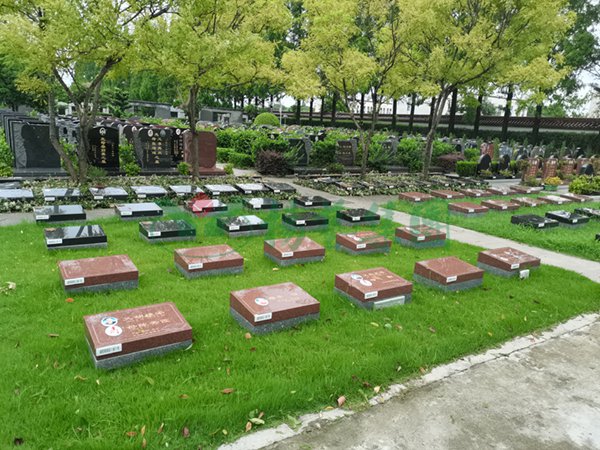 银娱优厚会717(中国)股份有限公司