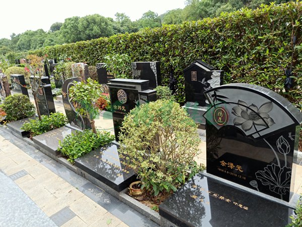 银娱优厚会717(中国)股份有限公司