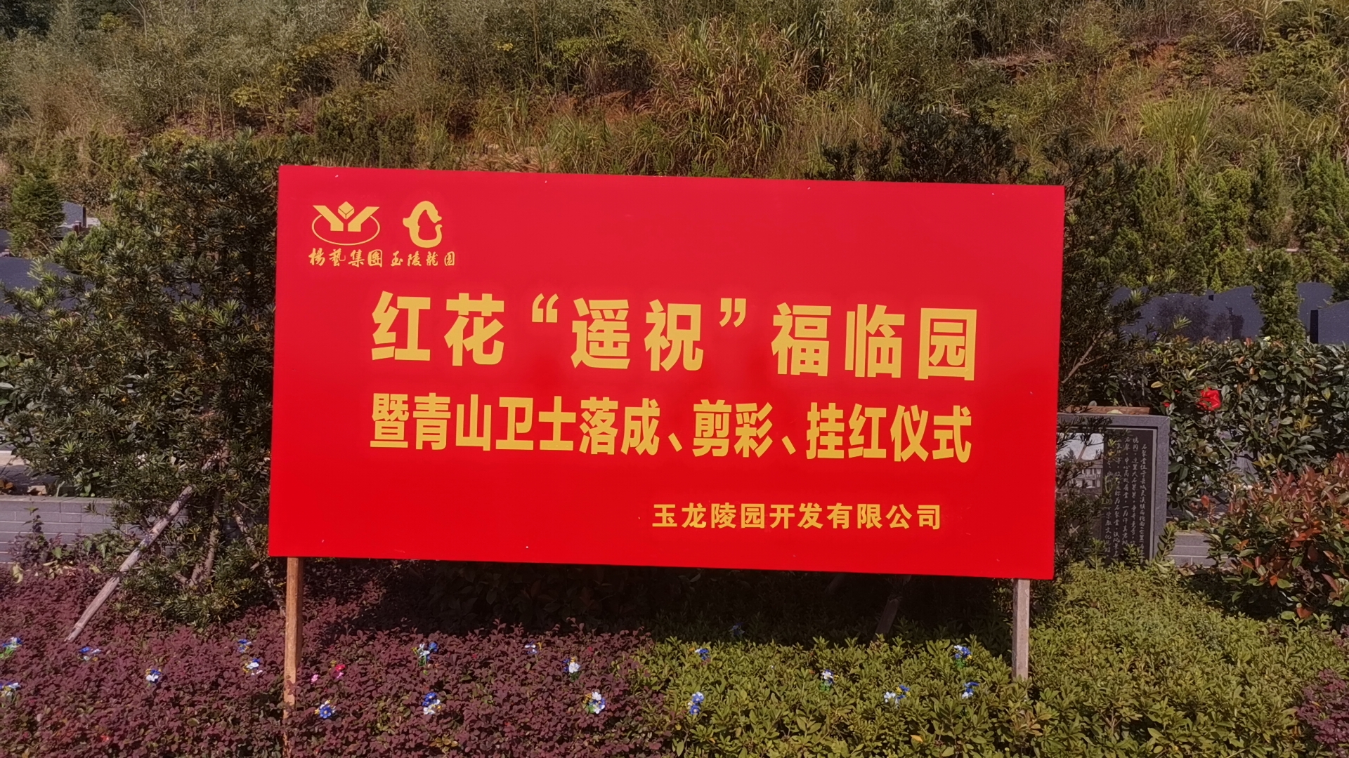 红花传爱意，情满玉龙园！