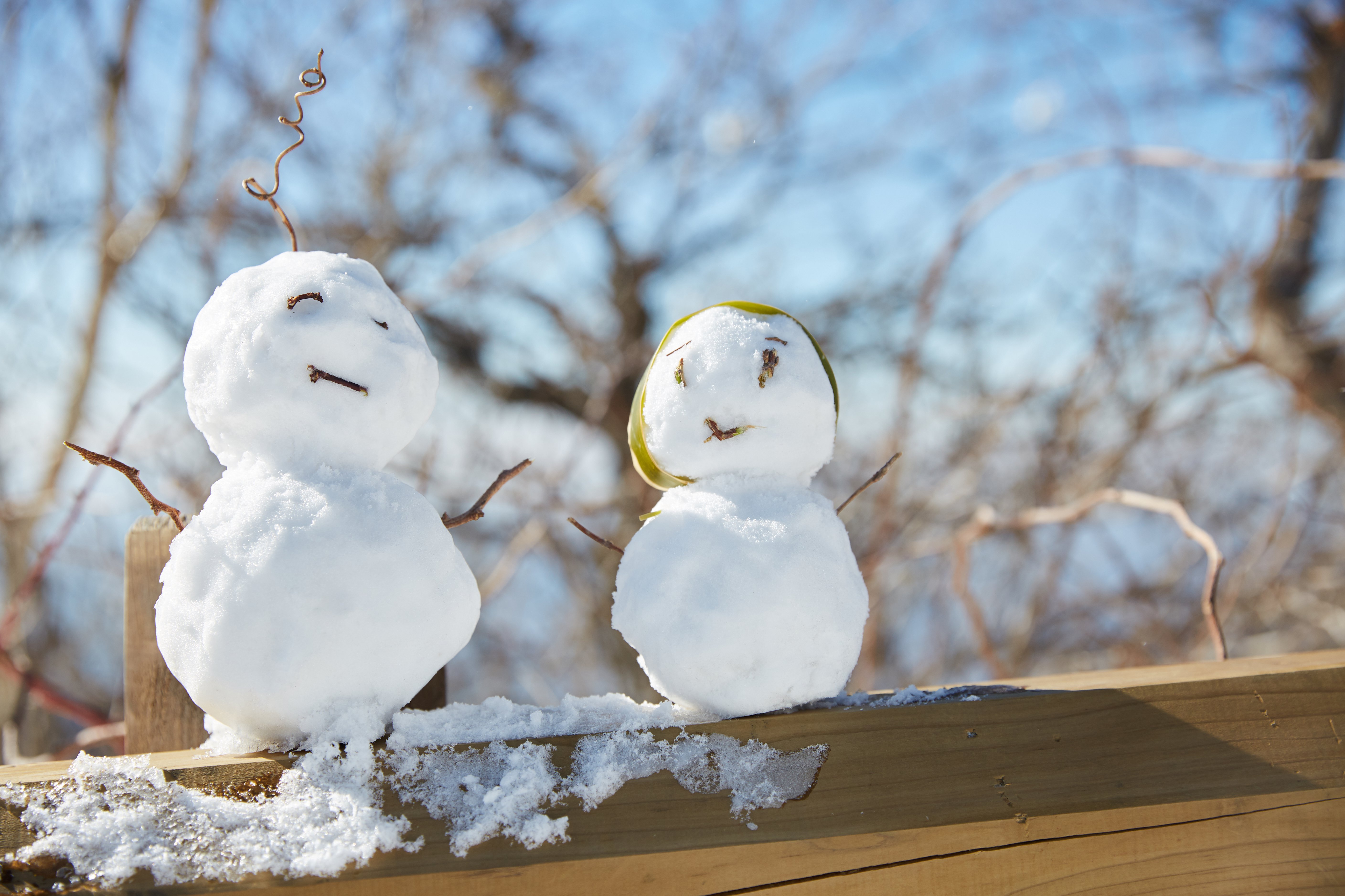 冬至，暖“杨”相伴 | 银娱优越会717人全力共同各墓园冬至落葬