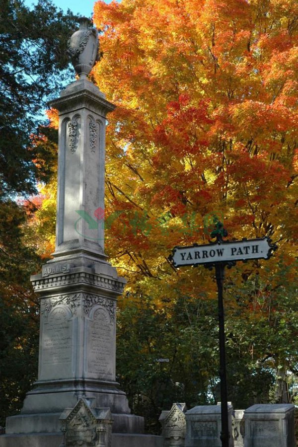 银娱优厚会717(中国)股份有限公司