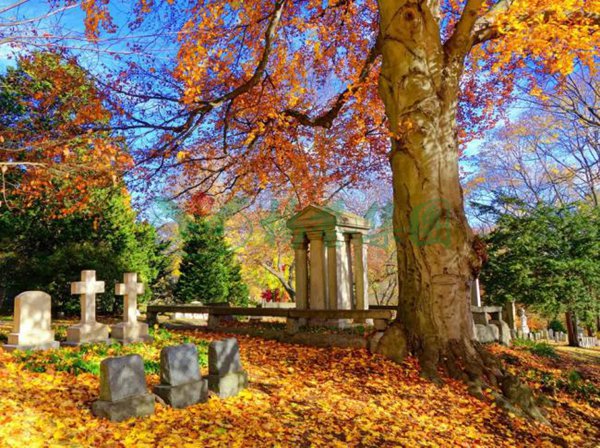 银娱优厚会717(中国)股份有限公司