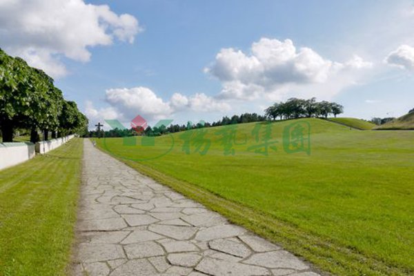 银娱优厚会717(中国)股份有限公司