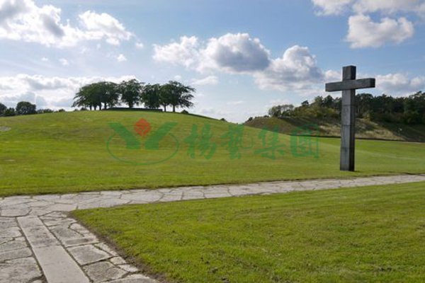 银娱优厚会717(中国)股份有限公司