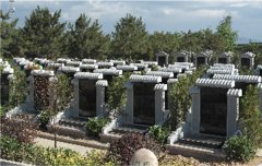 有一种墓碑，叫文化