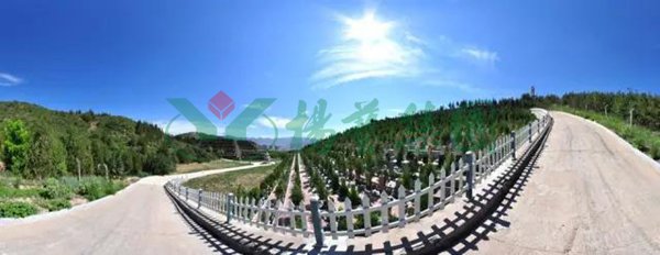 银娱优厚会717(中国)股份有限公司