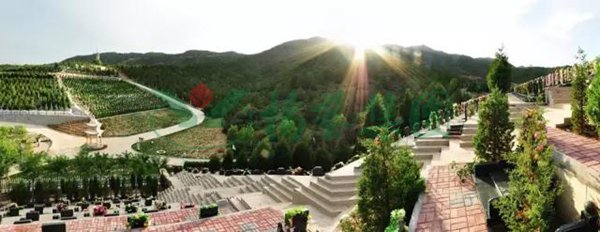 银娱优厚会717(中国)股份有限公司