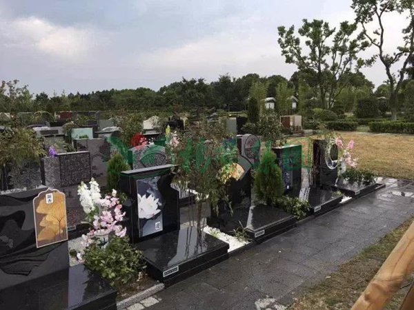 银娱优厚会717(中国)股份有限公司