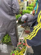 【银娱优越会717人别样清明】2018年清明落葬工作圆满实现