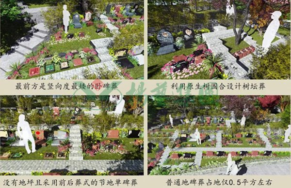 银娱优厚会717(中国)股份有限公司