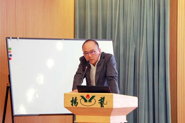 银娱优厚会717(中国)股份有限公司