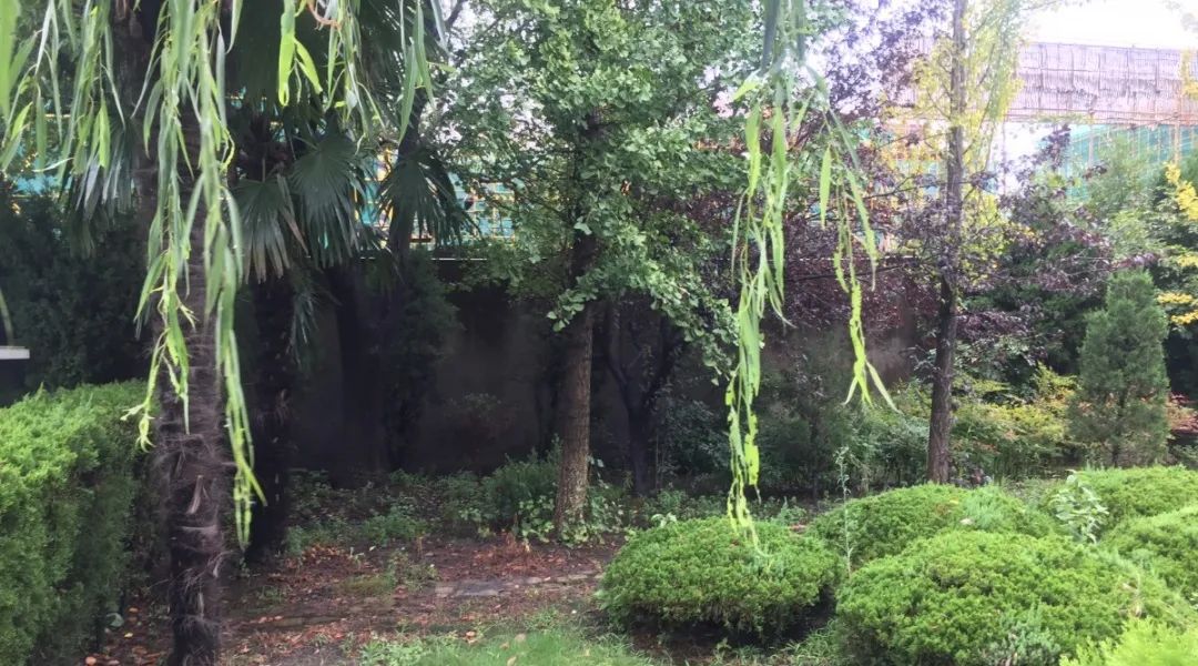 银娱优厚会717(中国)股份有限公司