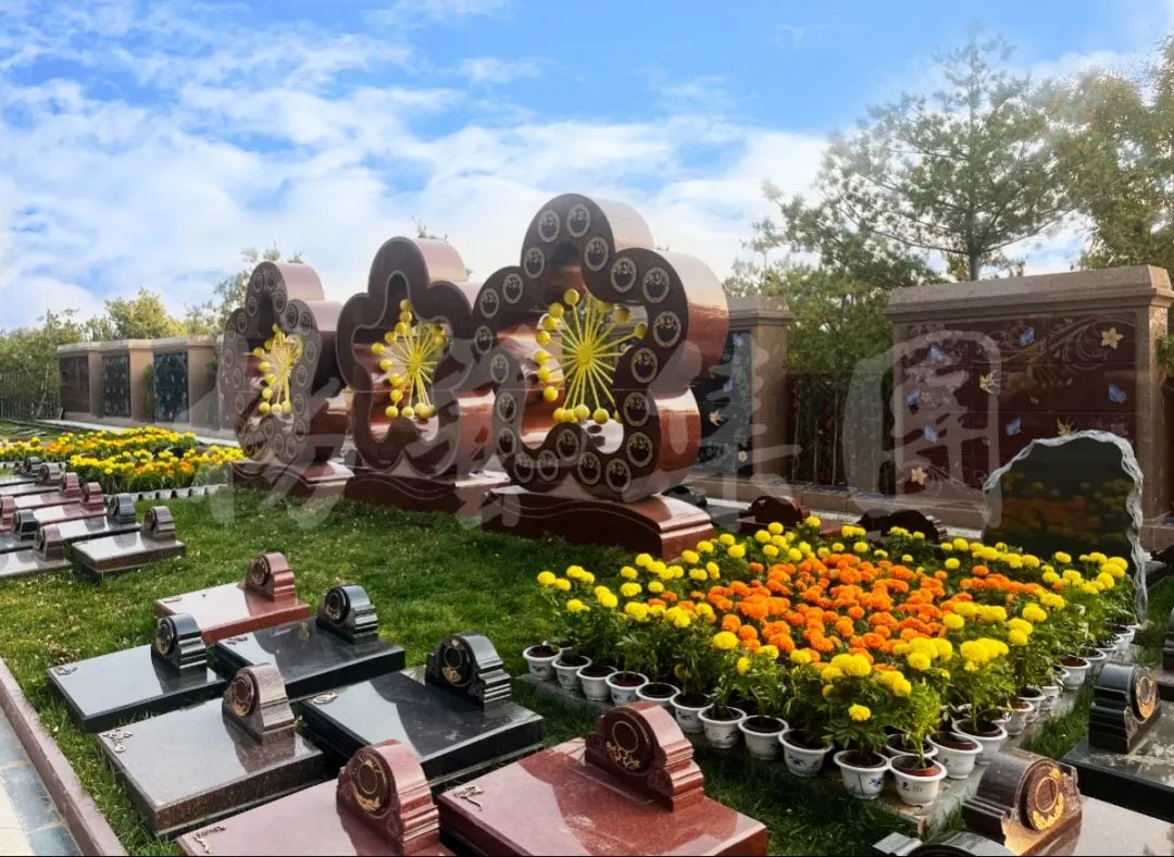 <b>逐光而来 爱弃世然</b>