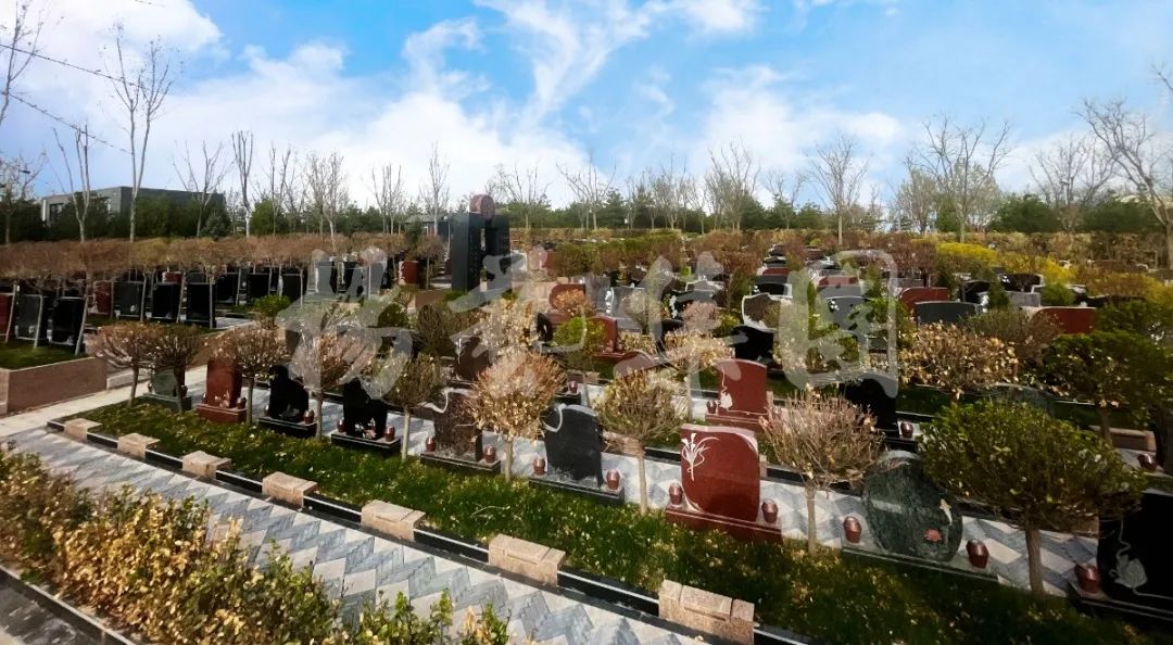 银娱优厚会717(中国)股份有限公司