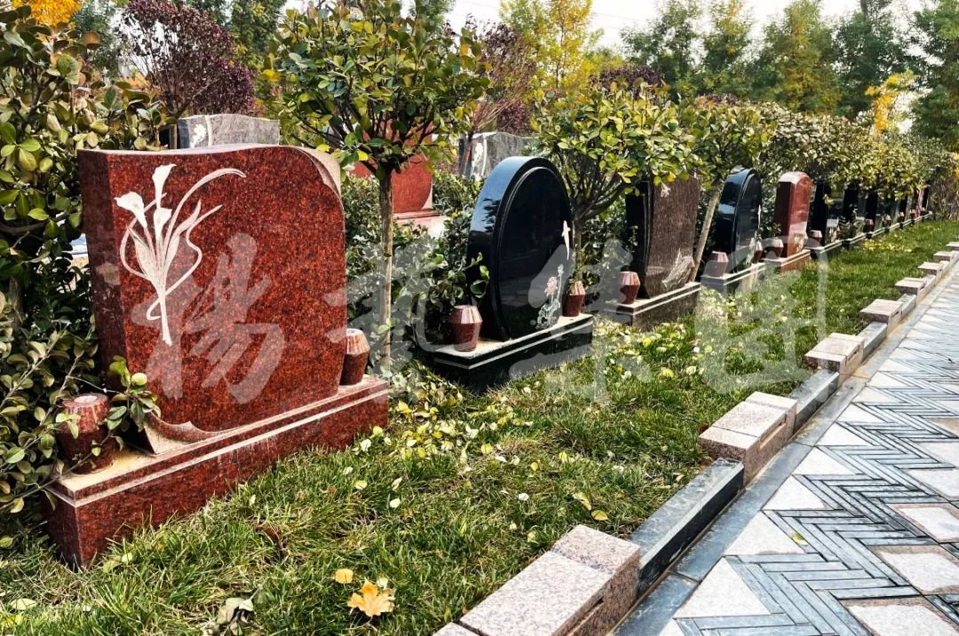 银娱优厚会717(中国)股份有限公司