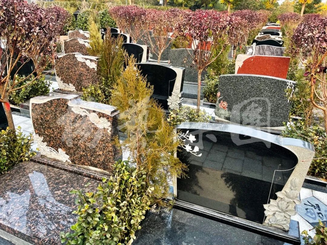 银娱优厚会717(中国)股份有限公司