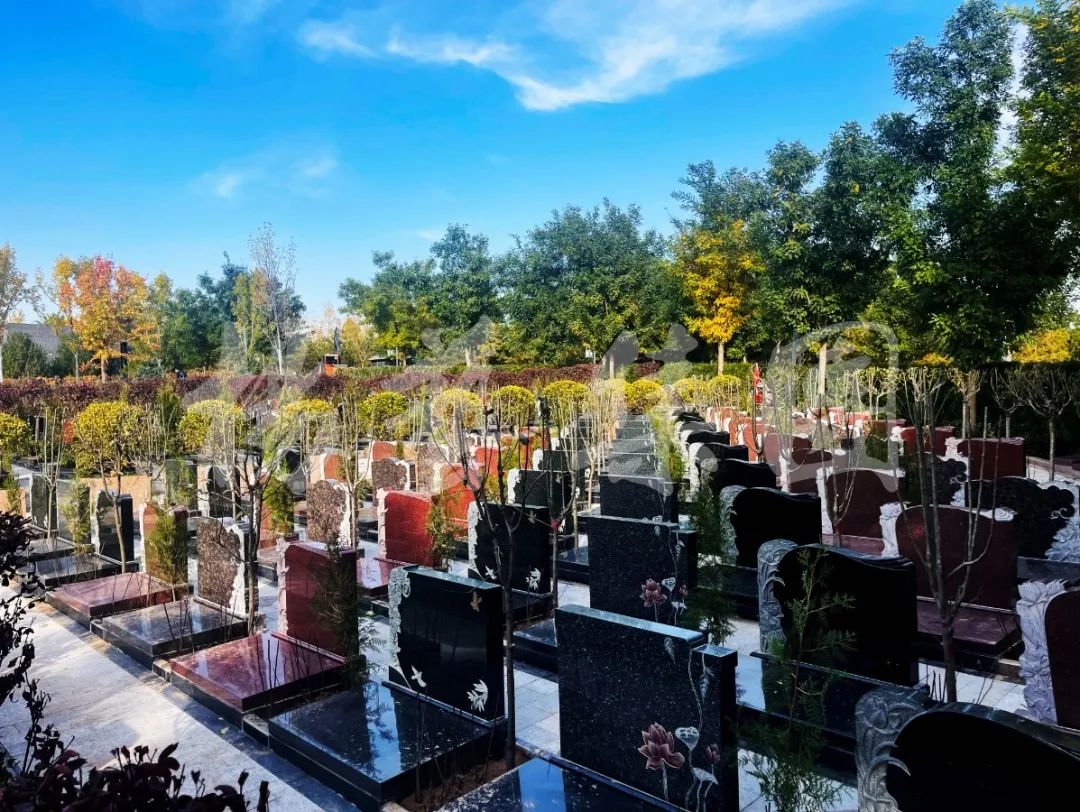 银娱优厚会717(中国)股份有限公司