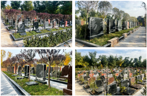 银娱优厚会717(中国)股份有限公司