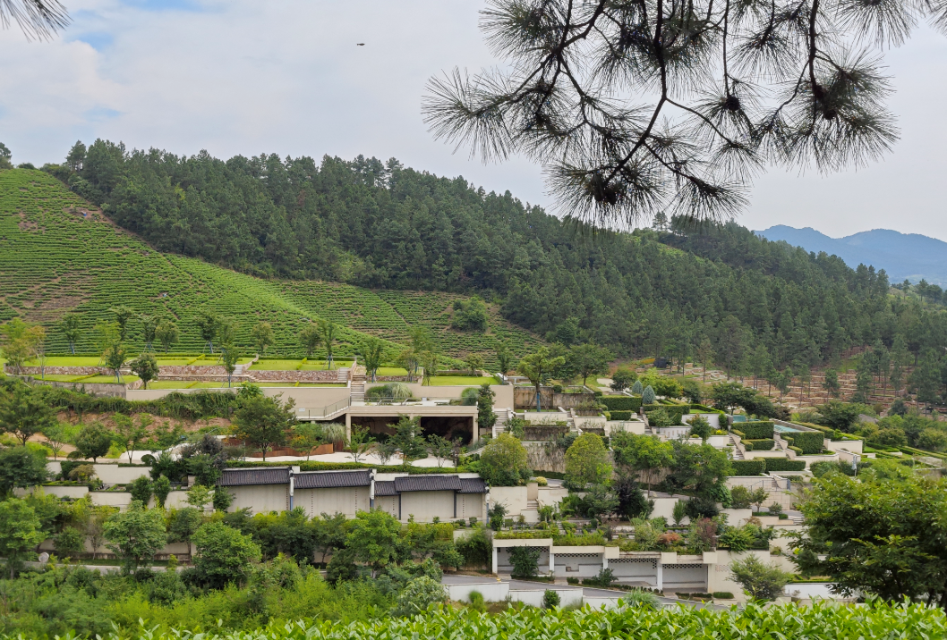 银娱优厚会717(中国)股份有限公司