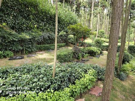 银娱优厚会717(中国)股份有限公司