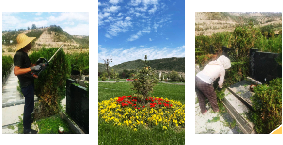 银娱优厚会717(中国)股份有限公司