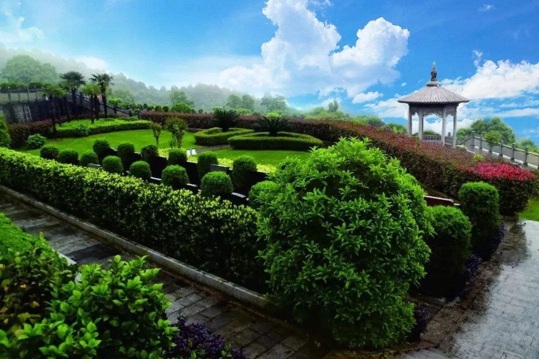 银娱优厚会717(中国)股份有限公司