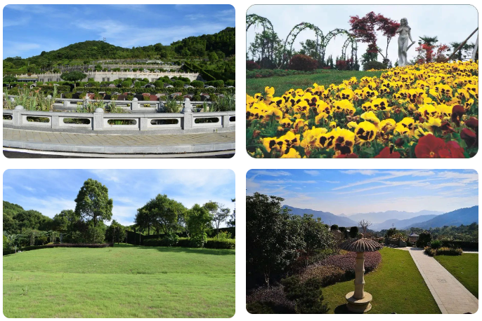 银娱优厚会717(中国)股份有限公司