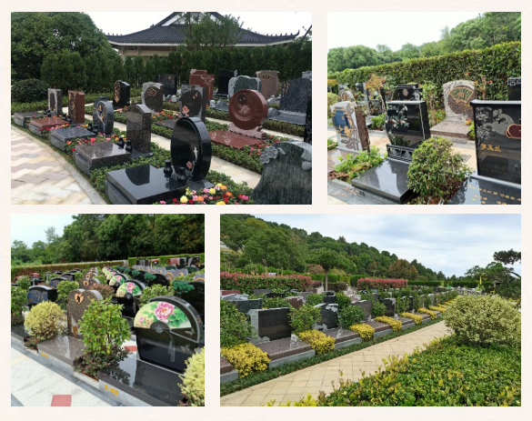 银娱优厚会717(中国)股份有限公司