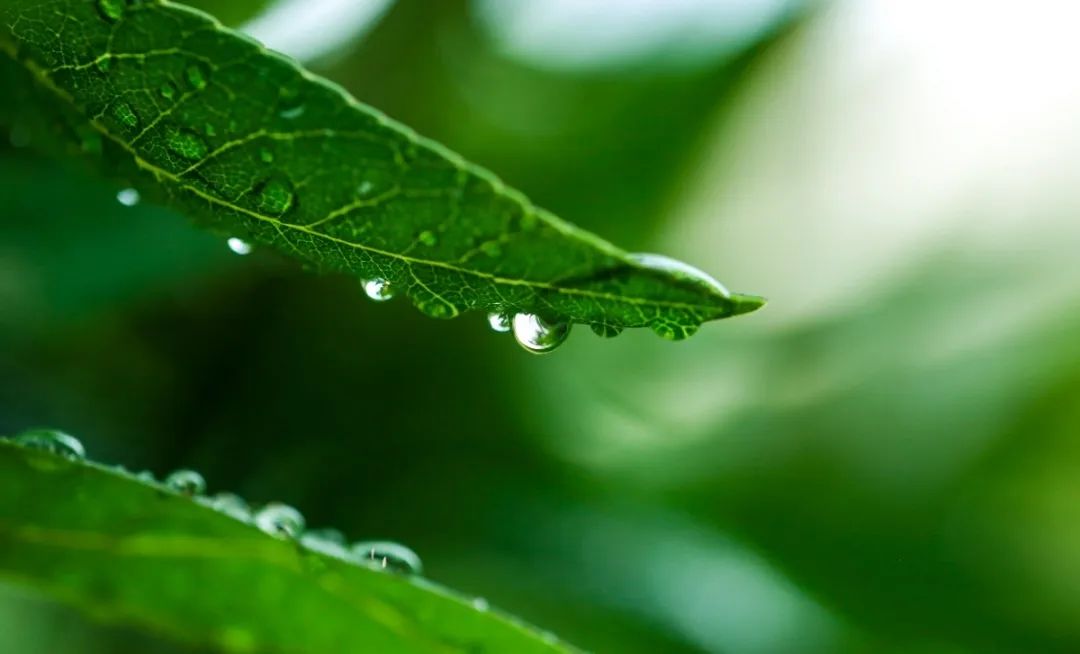 银娱优厚会717(中国)股份有限公司