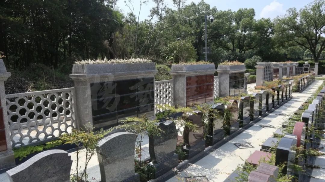 银娱优厚会717(中国)股份有限公司