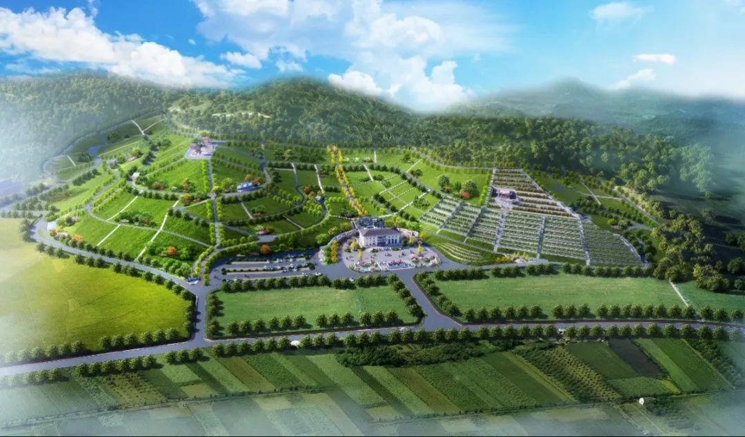 银娱优厚会717(中国)股份有限公司