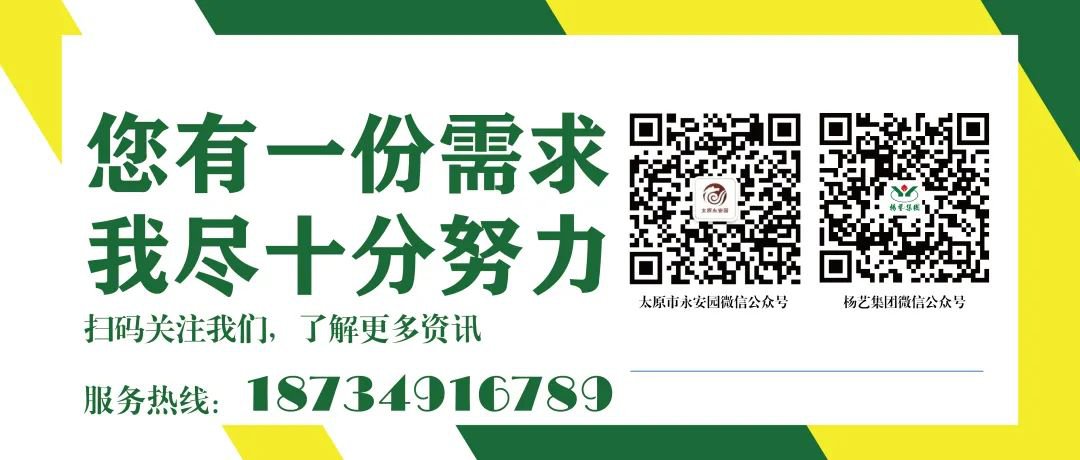 银娱优厚会717(中国)股份有限公司