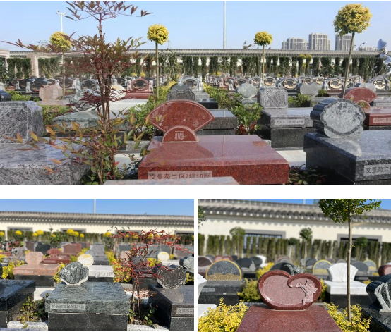 银娱优厚会717(中国)股份有限公司