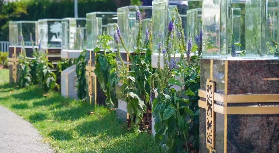 银娱优厚会717(中国)股份有限公司