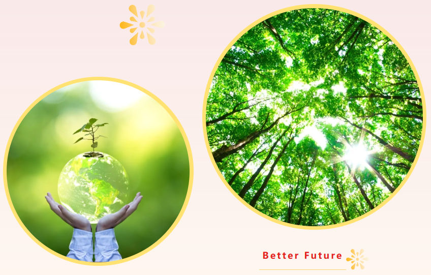 银娱优厚会717(中国)股份有限公司