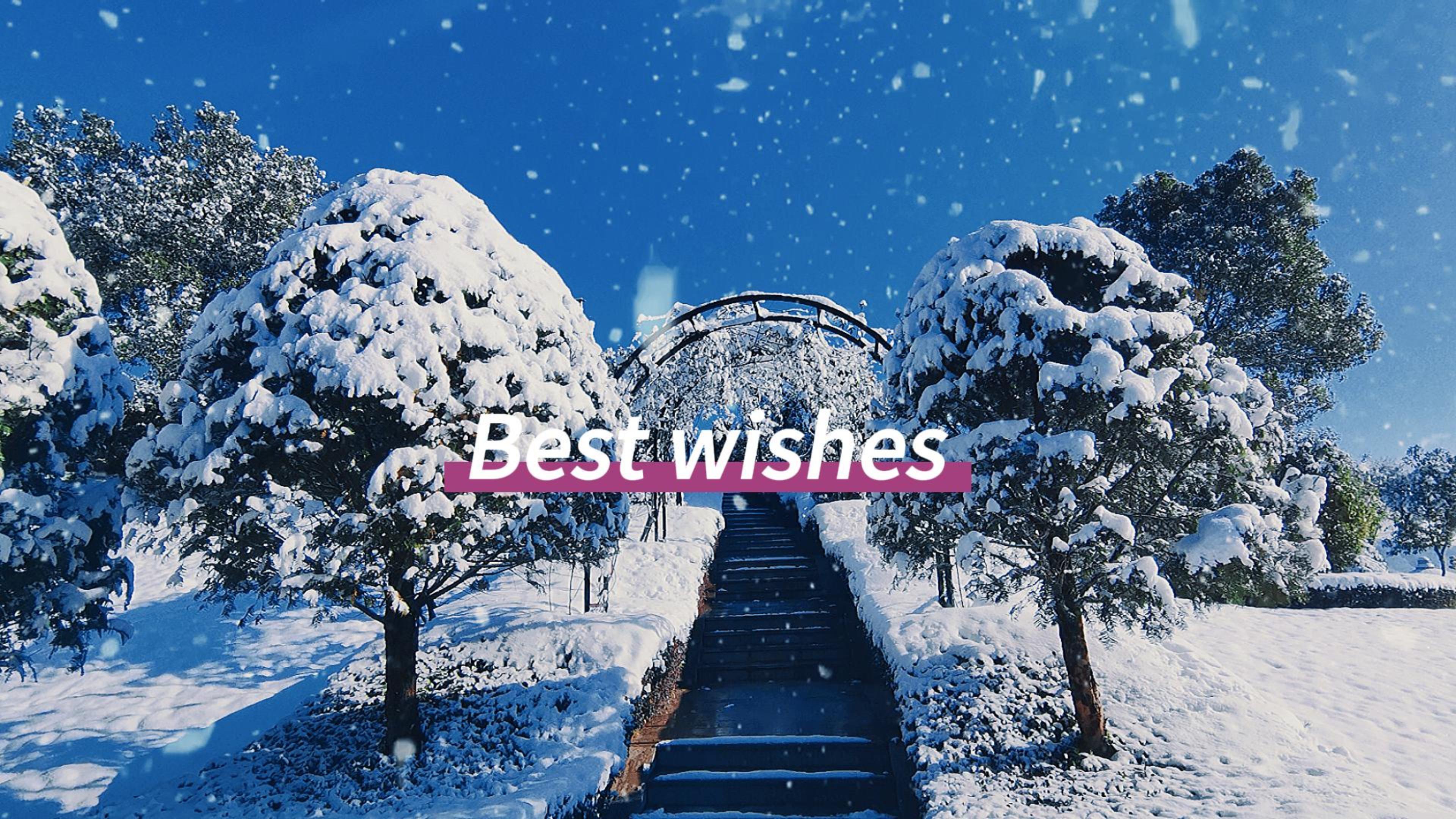 银娱优厚会717(中国)股份有限公司