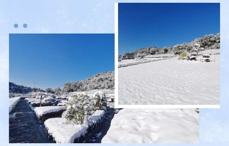 银娱优厚会717(中国)股份有限公司