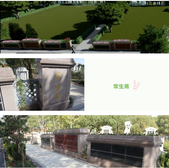 银娱优厚会717(中国)股份有限公司