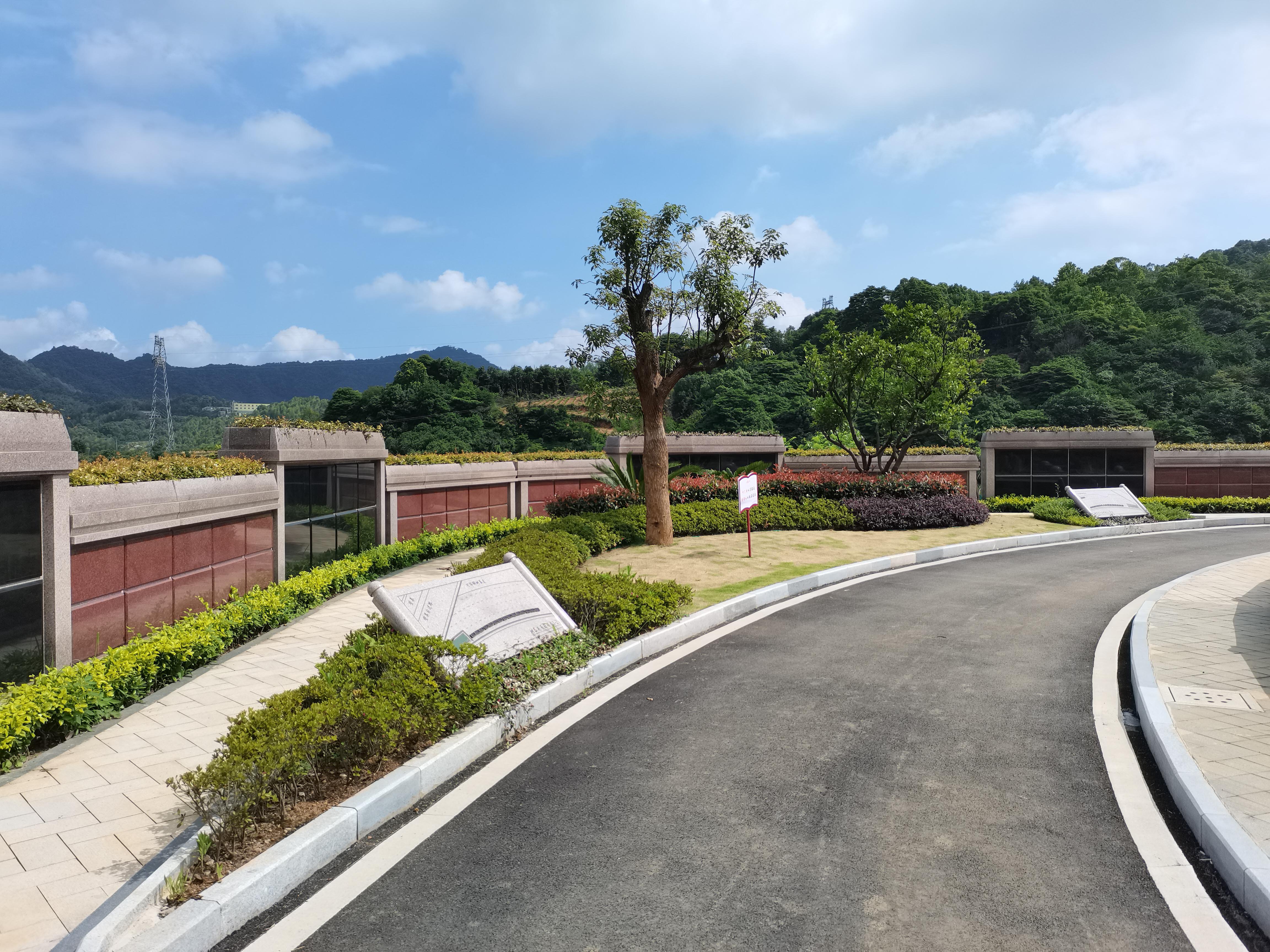 海葬和树葬哪个好？两种生态葬祭方式的选择与意思