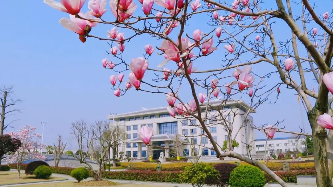 银娱优厚会717(中国)股份有限公司