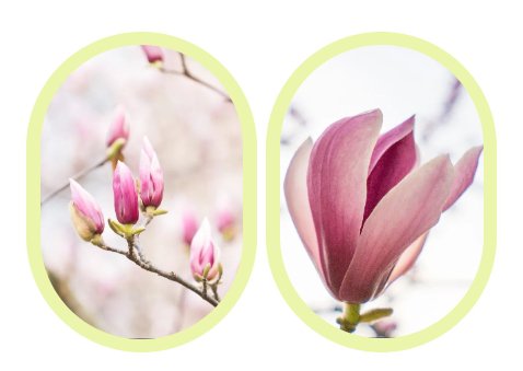 银娱优厚会717(中国)股份有限公司