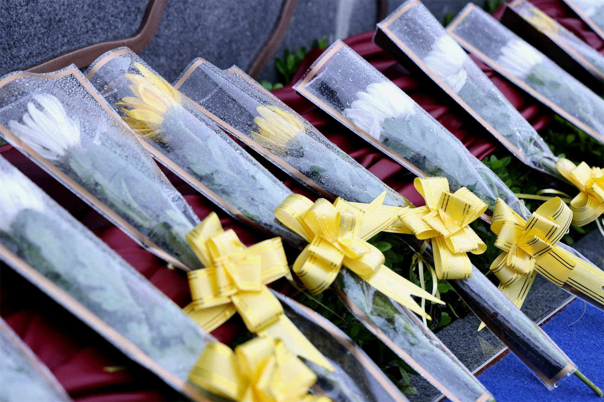 银娱优厚会717(中国)股份有限公司